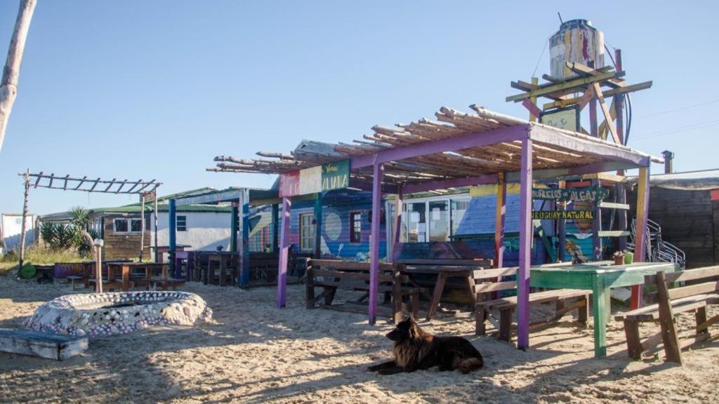 Lobo Hostel Bar Cabo Polonio Bagian luar foto